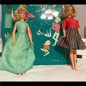 Ideal Tammy dogs case clothing bundle